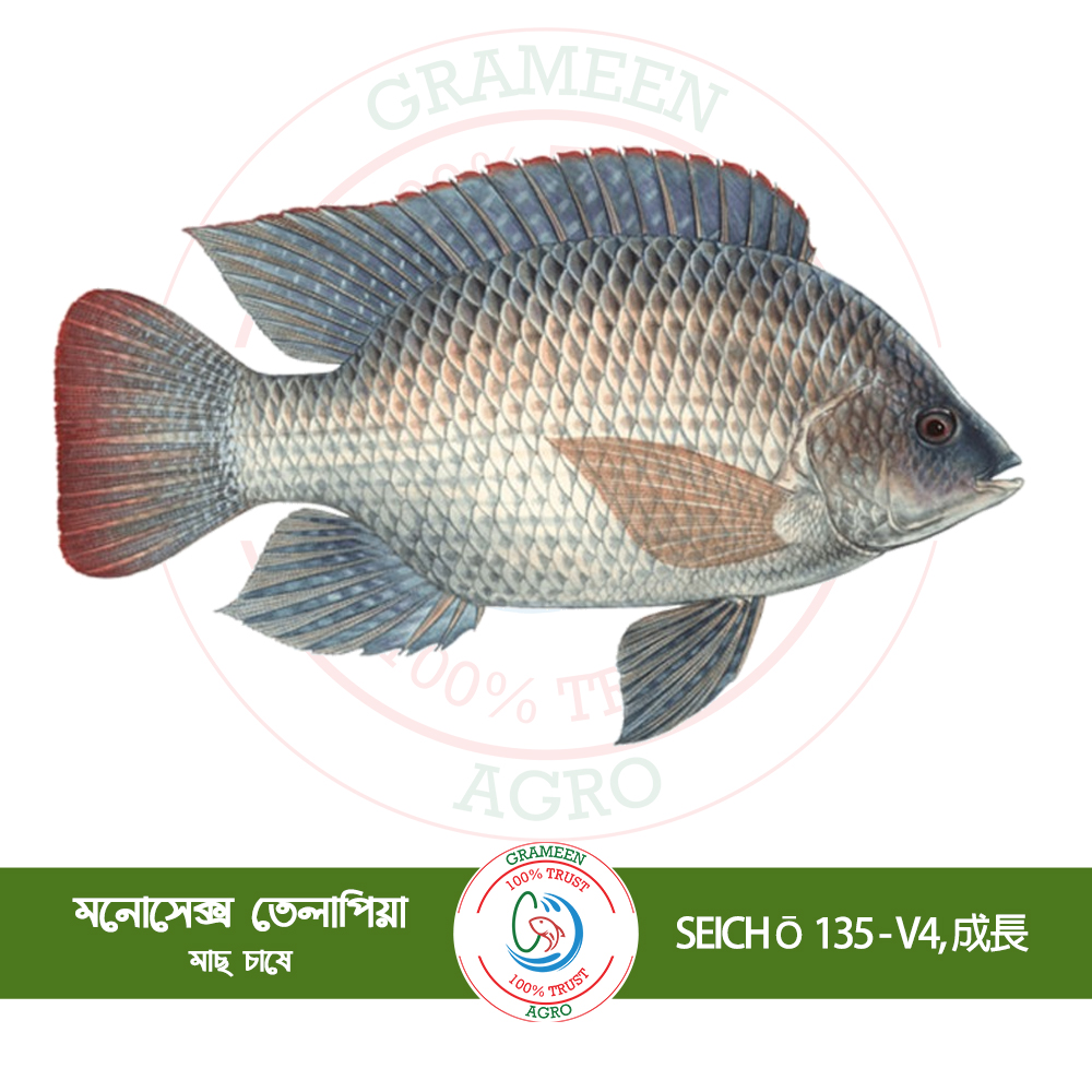 SEICHŌ 135 – 成長 V4 (তেলাপিয়া মাছের জন্য)